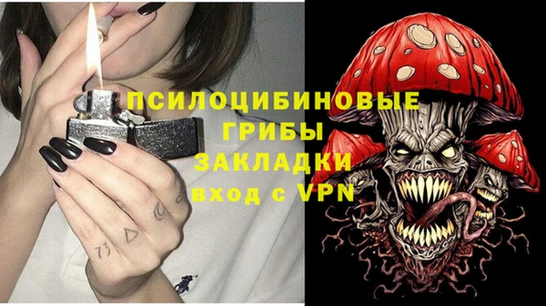 эйфоретик Арсеньев
