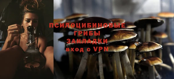эйфоретик Арсеньев
