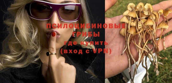 эйфоретик Арсеньев