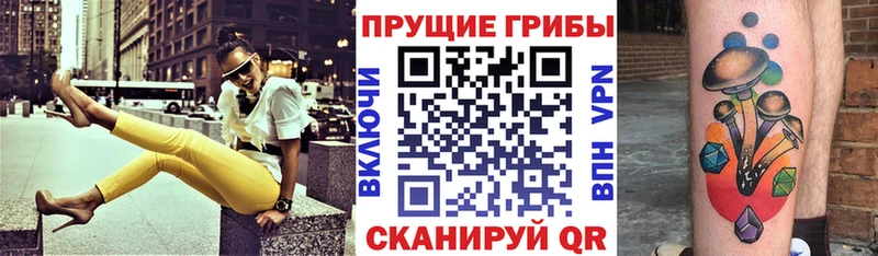 Галлюциногенные грибы Psilocybine cubensis mega ССЫЛКА Кирово-Чепецк купить наркотик