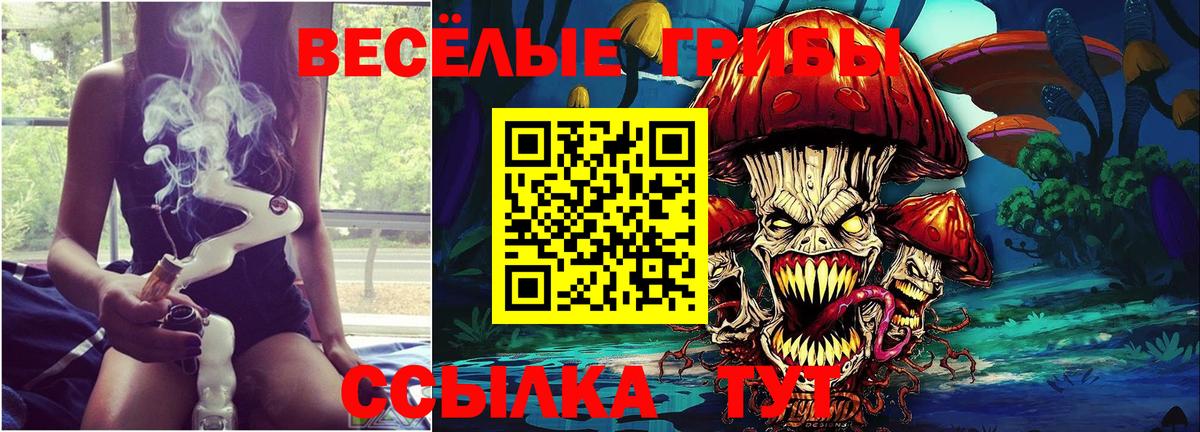 Псилоцибиновые грибы Psilocybine cubensis  Вход с VPN  Кирово-Чепецк 